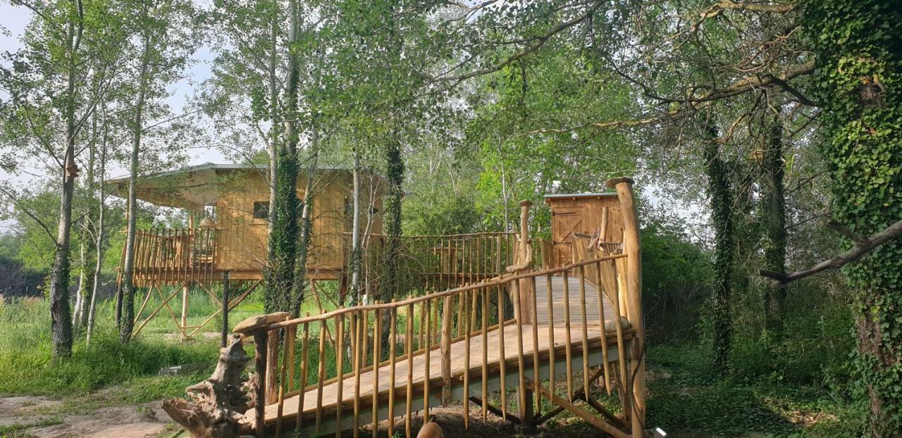 La Cabane Perchee Villelaure Zewnętrze zdjęcie